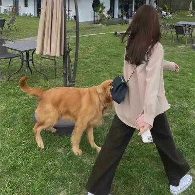 离婚官司